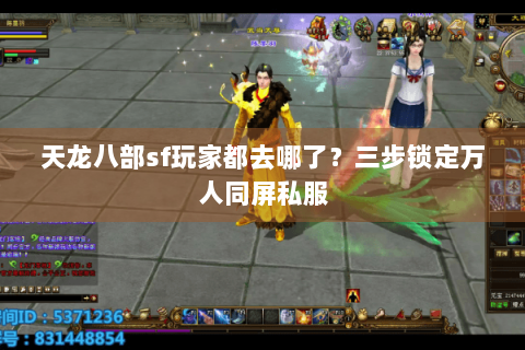 天龙八部sf玩家都去哪了？三步锁定万人同屏私服