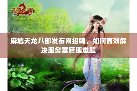 麻城天龙八部发布网招聘，如何高效解决服务器管理难题