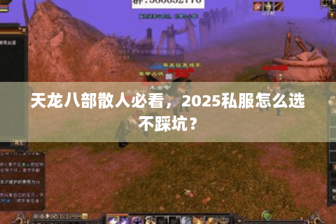 天龙八部散人必看，2025私服怎么选不踩坑？