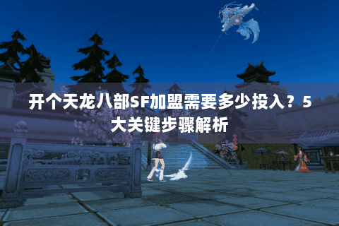 开个天龙八部SF加盟需要多少投入？5大关键步骤解析