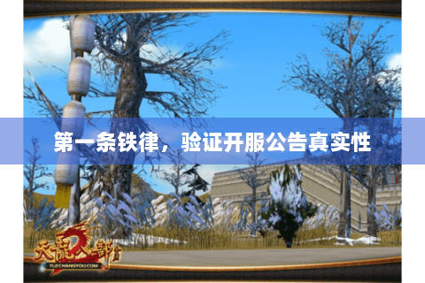 第一条铁律，验证开服公告真实性