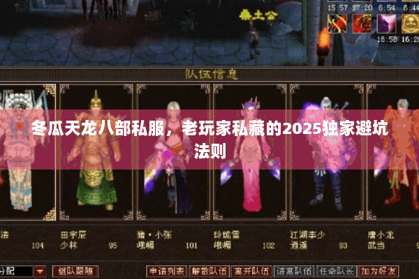 冬瓜天龙八部私服，老玩家私藏的2025独家避坑法则