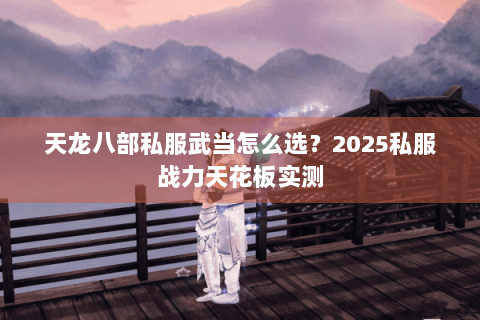 天龙八部私服武当怎么选?2025私服战力天花板实测 天龙八部私服武当怎么选?2025私服战力天花板实测