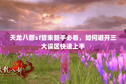 天龙八部sf皆来新手必看,如何避开三大误区快速上手 天龙八部sf皆来新手必看,如何避开三大误区快速上手