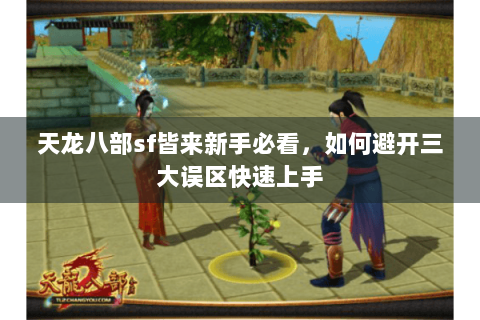 天龙八部sf皆来新手必看,如何避开三大误区快速上手 天龙八部sf皆来新手必看,如何避开三大误区快速上手