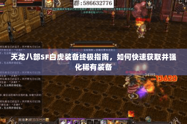 天龙八部SF白虎装备终极指南，如何快速获取并强化稀有装备