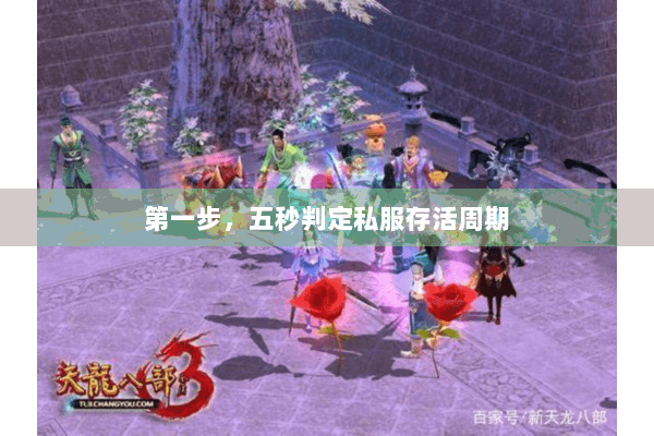 第一步,五秒判定私服存活周期 第一步,五秒判定私服存活周期