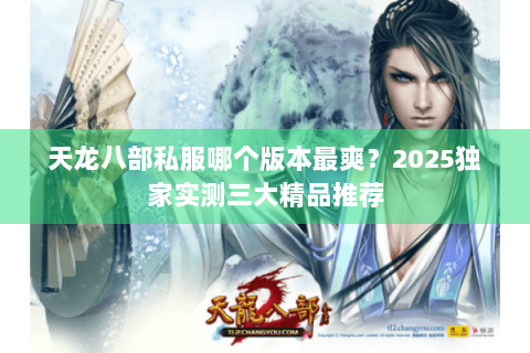 天龙八部私服哪个版本最爽？2025独家实测三大精品推荐