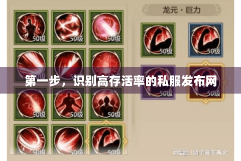 第一步，识别高存活率的私服发布网