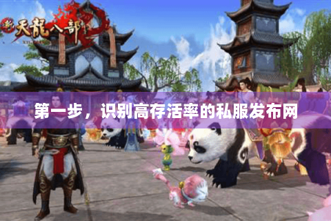 第一步，识别高存活率的私服发布网