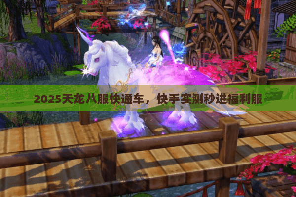 2025天龙八服快通车，快手实测秒进福利服