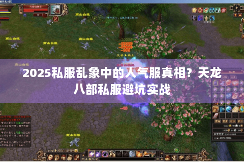 2025私服乱象中的人气服真相？天龙八部私服避坑实战