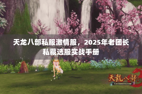 天龙八部私服激情服,2025年老团长私藏选服实战手册 天龙八部私服激情服,2025年老团长私藏选服实战手册