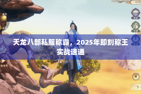 天龙八部私服称霸，2025年即刻称王实战速通