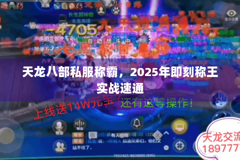 天龙八部私服称霸,2025年即刻称王实战速通 天龙八部私服称霸,2025年即刻称王实战速通