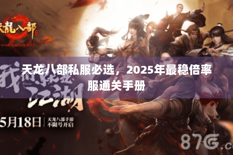 天龙八部私服必选，2025年最稳倍率服通关手册