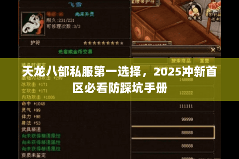 天龙八部私服第一选择，2025冲新首区必看防踩坑手册