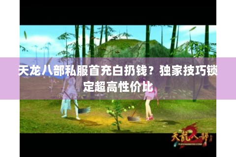 天龙八部私服首充白扔钱？独家技巧锁定超高性价比