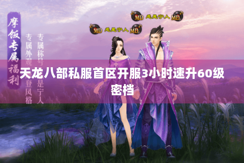 天龙八部私服首区开服3小时速升60级密档