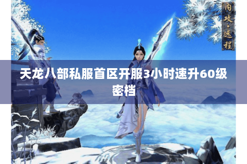 天龙八部私服首区开服3小时速升60级密档