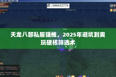 天龙八部私服强推，2025年避坑到爽玩硬核筛选术