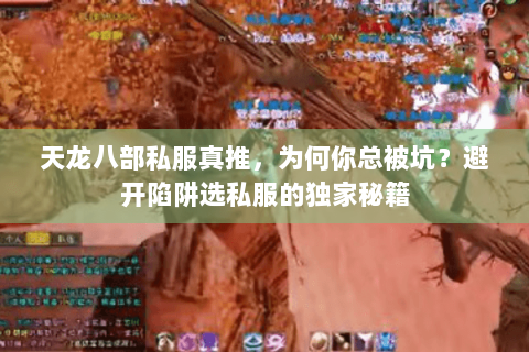 天龙八部私服真推,为何你总被坑?避开陷阱选私服的独家秘籍 天龙八部私服真推,为何你总被坑?避开陷阱选私服的独家秘籍