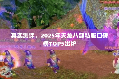 真实测评,2025年天龙八部私服口碑榜TOP5出炉 真实测评,2025年天龙八部私服口碑榜TOP5出炉