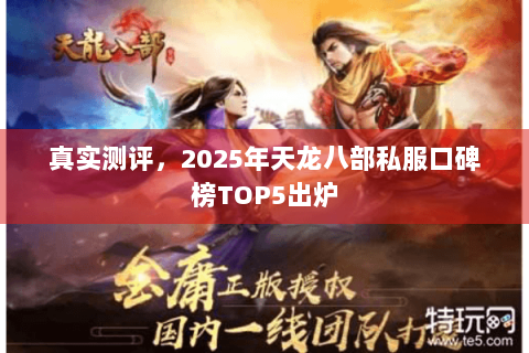 真实测评,2025年天龙八部私服口碑榜TOP5出炉 真实测评,2025年天龙八部私服口碑榜TOP5出炉