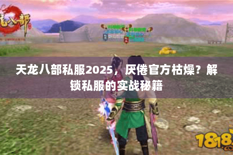 天龙八部私服2025,厌倦官方枯燥?解锁私服的实战秘籍 天龙八部私服2025,厌倦官方枯燥?解锁私服的实战秘籍