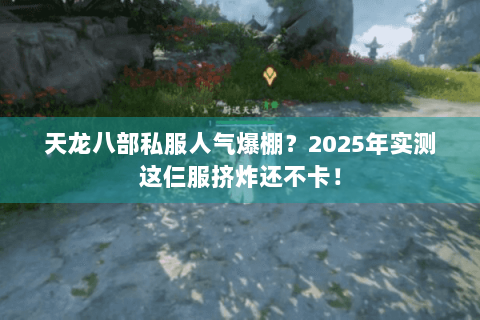 天龙八部私服人气爆棚?2025年实测这仨服挤炸还不卡! 天龙八部私服人气爆棚?2025年实测这仨服挤炸还不卡!