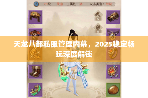 天龙八部私服管理内幕,2025稳定畅玩深度解锁 天龙八部私服管理内幕,2025稳定畅玩深度解锁