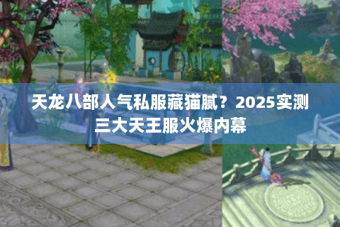 天龙八部人气私服藏猫腻?2025实测三大天王服火爆内幕 天龙八部人气私服藏猫腻?2025实测三大天王服火爆内幕