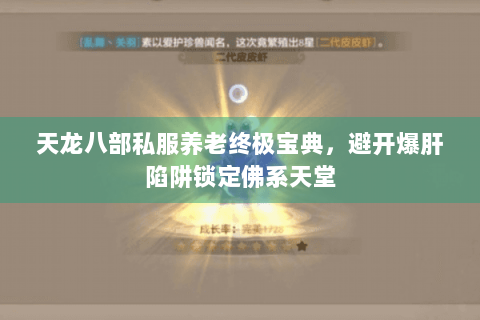 天龙八部私服养老终极宝典,避开爆肝陷阱锁定佛系天堂 天龙八部私服养老终极宝典,避开爆肝陷阱锁定佛系天堂