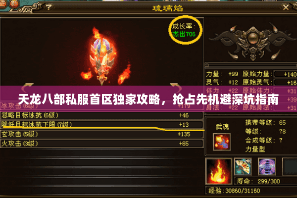 天龙八部私服首区独家攻略，抢占先机避深坑指南