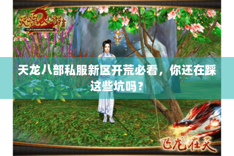 天龙八部私服新区开荒必看，你还在踩这些坑吗？