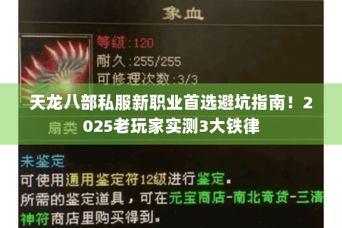 天龙八部私服新职业首选避坑指南！2025老玩家实测3大铁律