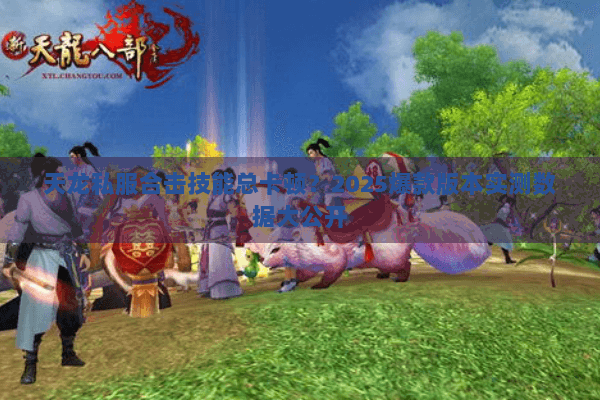 天龙私服合击技能总卡顿?2025爆款版本实测数据大公开 天龙私服合击技能总卡顿?2025爆款版本实测数据大公开