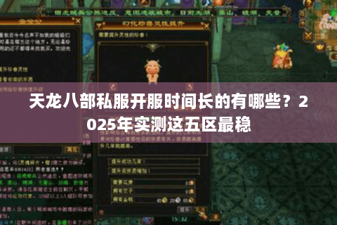 天龙八部私服开服时间长的有哪些？2025年实测这五区最稳