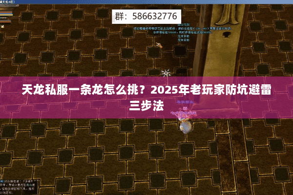 天龙私服一条龙怎么挑?2025年老玩家防坑避雷三步法 天龙私服一条龙怎么挑?2025年老玩家防坑避雷三步法