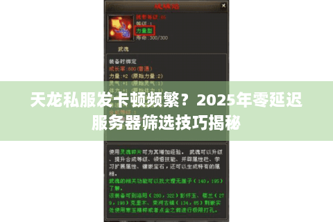 天龙私服发卡顿频繁？2025年零延迟服务器筛选技巧揭秘