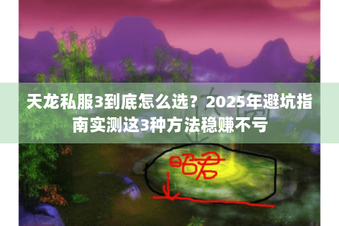 天龙私服3到底怎么选?2025年避坑指南实测这3种方法稳赚不亏 天龙私服3到底怎么选?2025年避坑指南实测这3种方法稳赚不亏