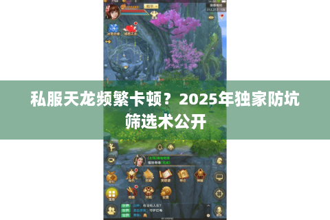 私服天龙频繁卡顿？2025年独家防坑筛选术公开