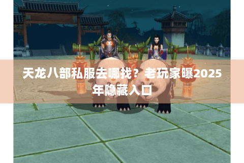 天龙八部私服去哪找?老玩家曝2025年隐藏入口 天龙八部私服去哪找?老玩家曝2025年隐藏入口