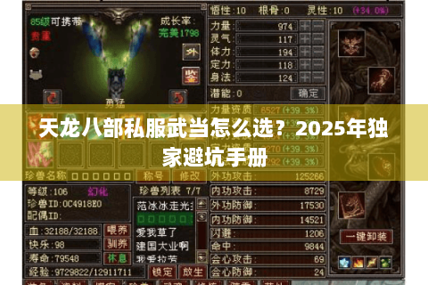 天龙八部私服武当怎么选?2025年独家避坑手册 天龙八部私服武当怎么选?2025年独家避坑手册