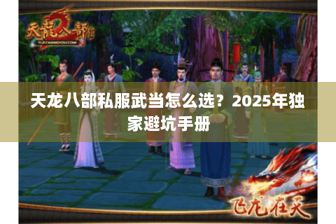 天龙八部私服武当怎么选?2025年独家避坑手册 天龙八部私服武当怎么选?2025年独家避坑手册