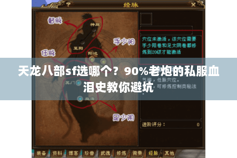 天龙八部sf选哪个?90%老炮的私服血泪史教你避坑 天龙八部sf选哪个?90%老炮的私服血泪史教你避坑