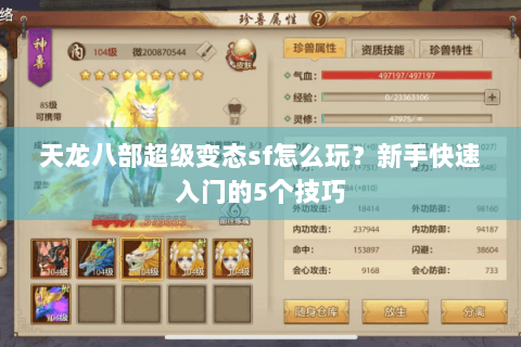 天龙八部超级变态sf怎么玩?新手快速入门的5个技巧 天龙八部超级变态sf怎么玩?新手快速入门的5个技巧