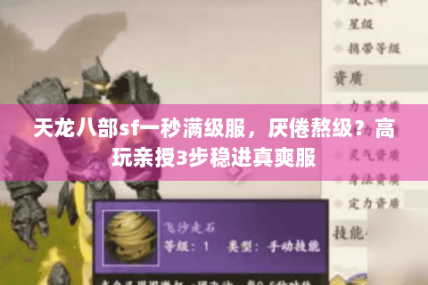 天龙八部sf一秒满级服，厌倦熬级？高玩亲授3步稳进真爽服