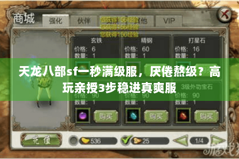 天龙八部sf一秒满级服，厌倦熬级？高玩亲授3步稳进真爽服