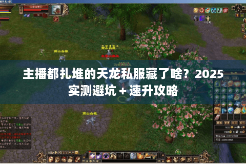 主播都扎堆的天龙私服藏了啥?2025实测避坑+速升攻略 主播都扎堆的天龙私服藏了啥?2025实测避坑+速升攻略
